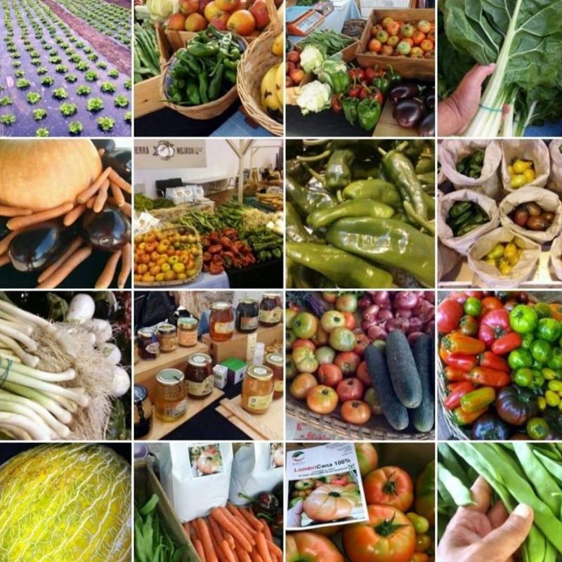 Ecotierra Mojada - Huerta Tienda Ecologico