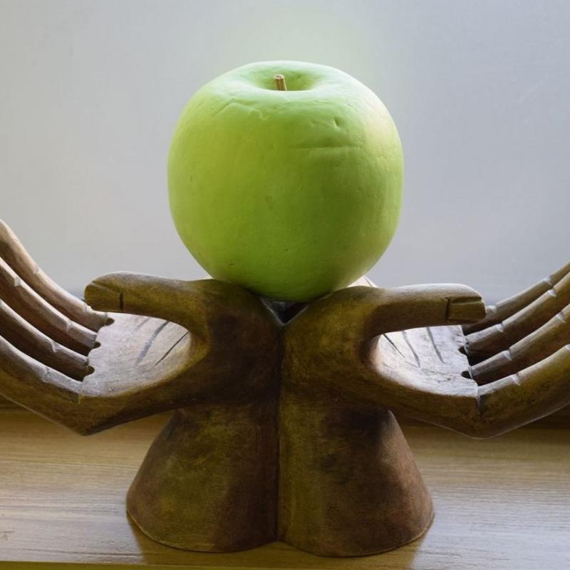 Centro Terapeutico Bienestar